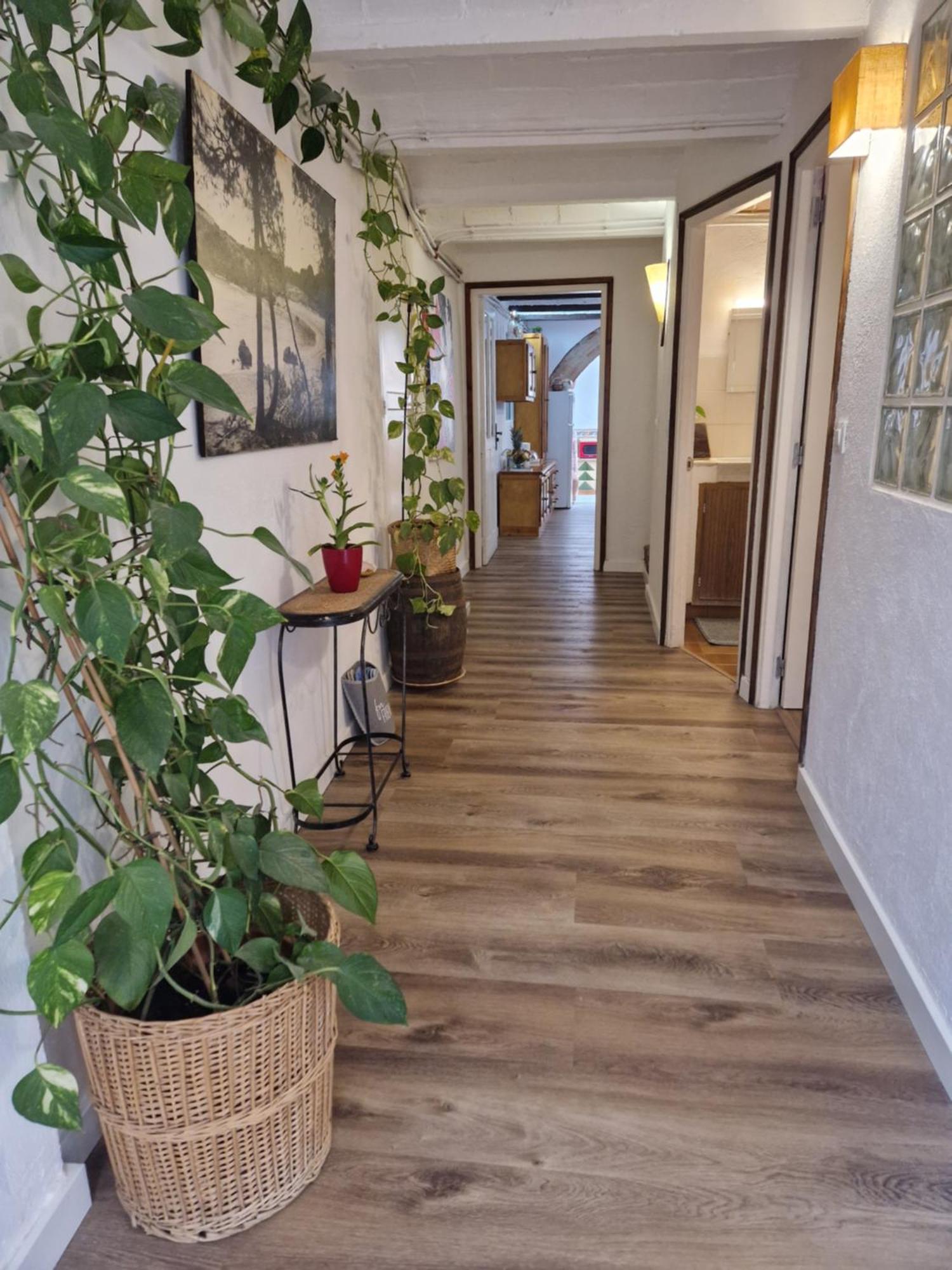 Ca La Teia Daire Bellcaire d'Emporda Dış mekan fotoğraf