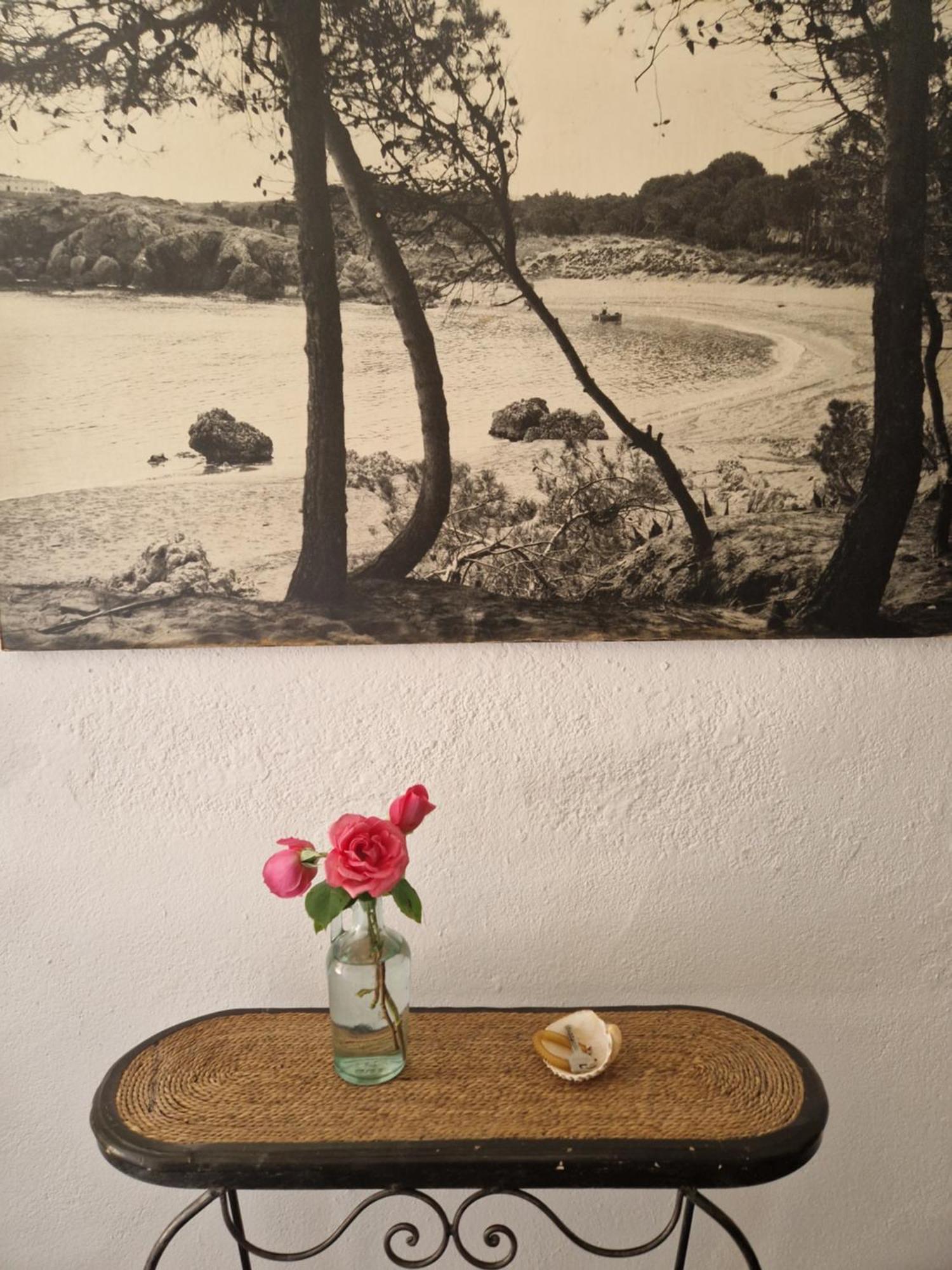 Ca La Teia Daire Bellcaire d'Emporda Dış mekan fotoğraf